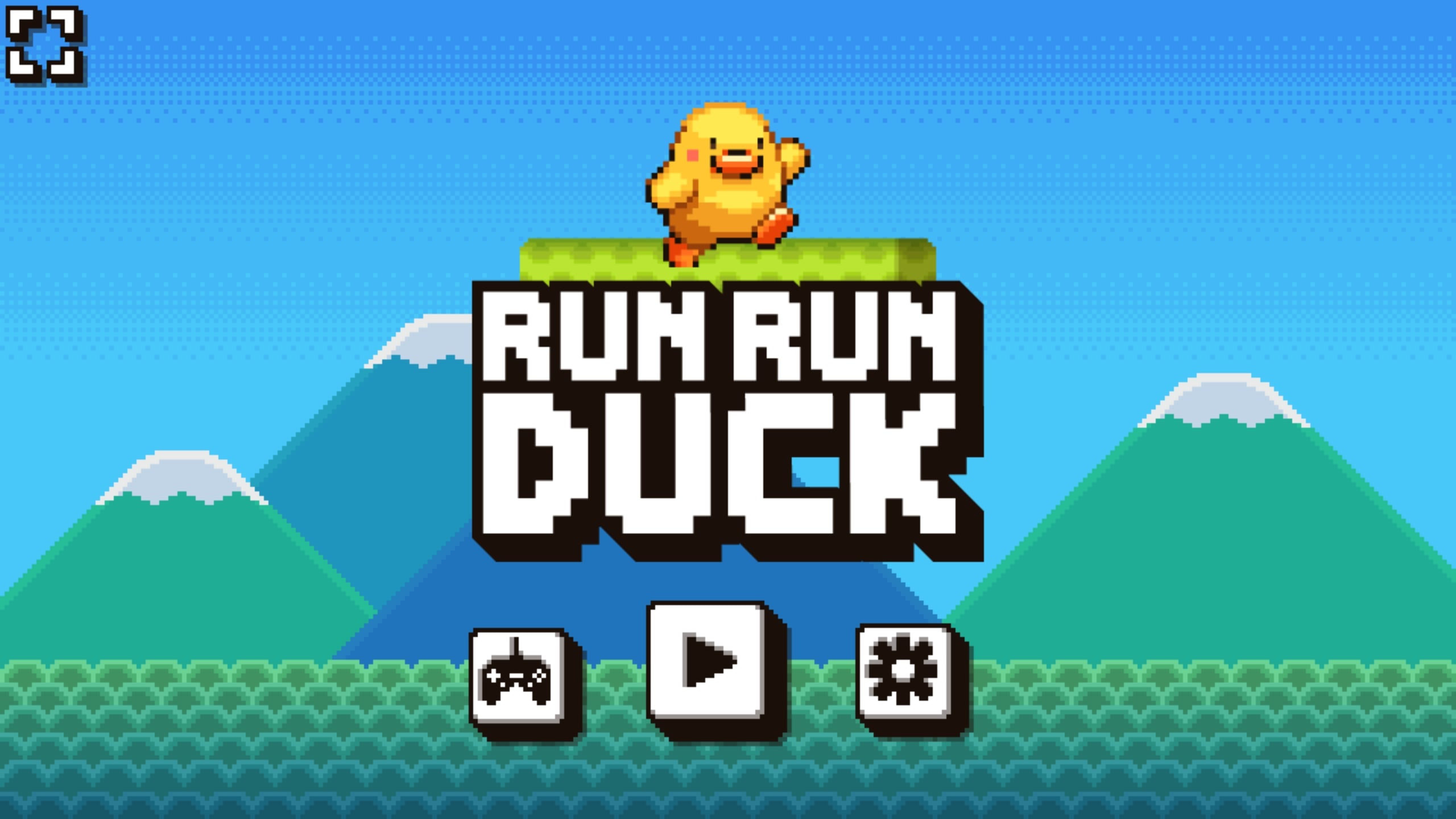 Run Run Duck