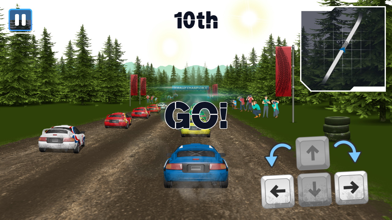 Rally Champion